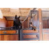 Relax Horse Toy Tableux