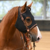 Titanium mask COME BEST no ears
