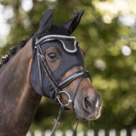 Masque COME BEST Titanium avec oreilles