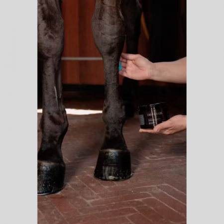 Recovering Ice Gel
