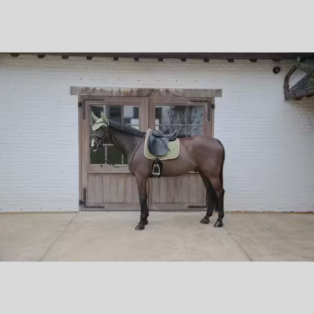 Tapis de Selle Sofshell Onion Quilt Dressage