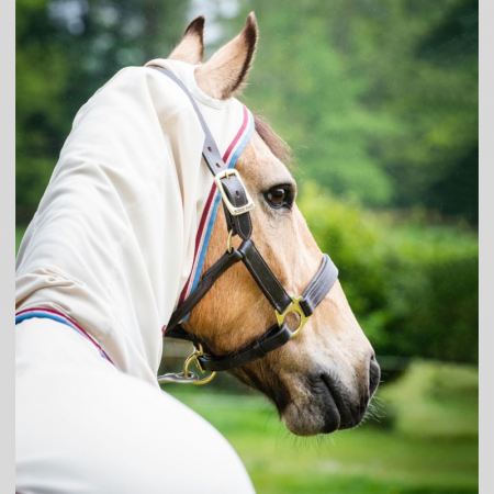 Rambo Hoody PONY
