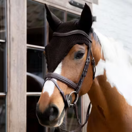 Bonnet Anti-mouche Long