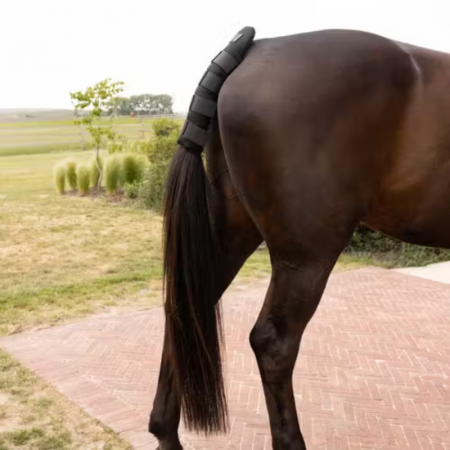Tail Guard Pro