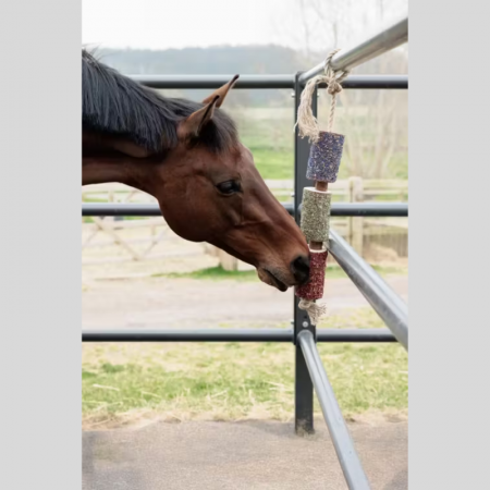 Wooden Relax Horse Toy - FREEDOM