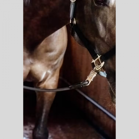 Horse Box Lead & Cross Ties Silicone