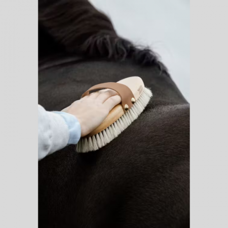 Brosse anti poussière