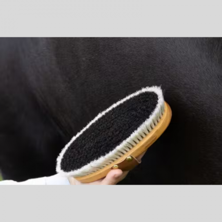 Brosse anti poussière