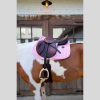 Zadeldoek Sammy Collection Jumping