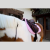 Saddle Pad Sammy Collection Jumping