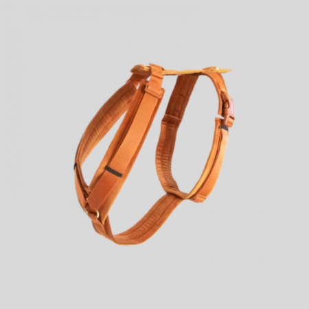 Dog Harness Active Velvet