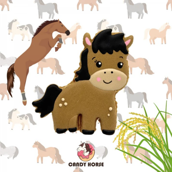 FERME - Biscuit Cheval Glacé