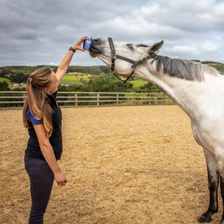 Horslyx Original