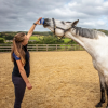Horslyx Original