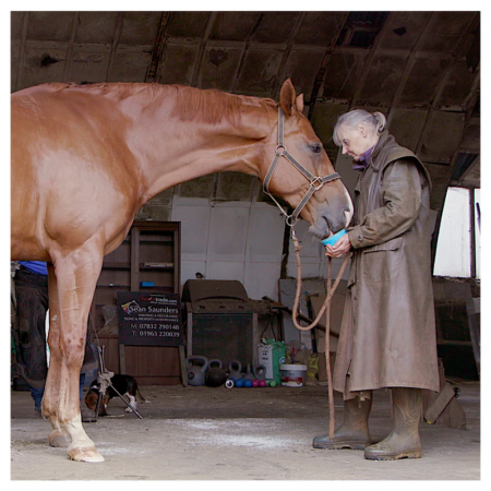 Horslyx Mini Menthe