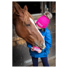 Horslyx Mini Digest