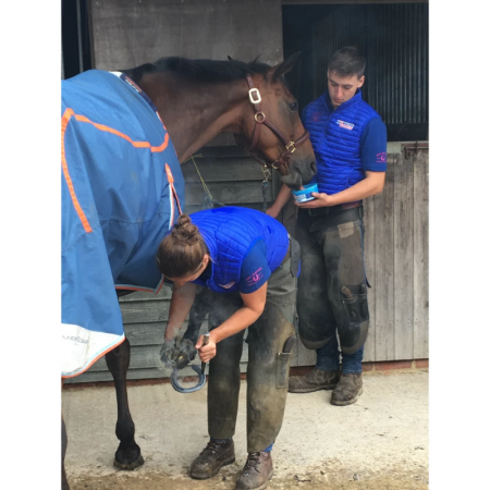 Horslyx Mini Digest