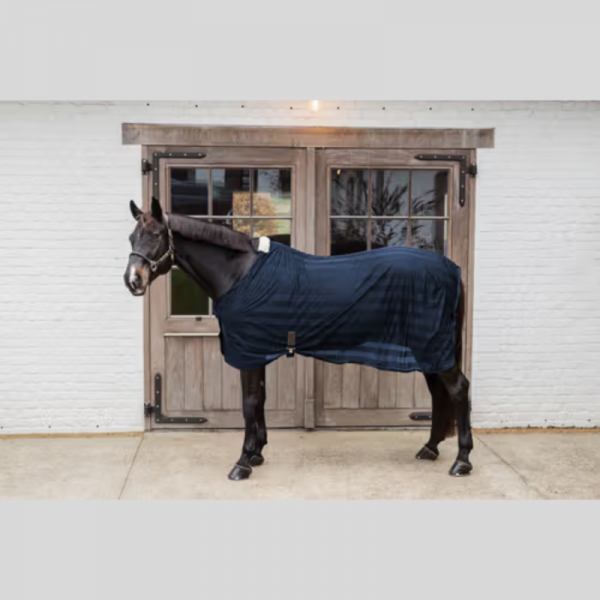 Light Striped Mesh Fly Sheet
