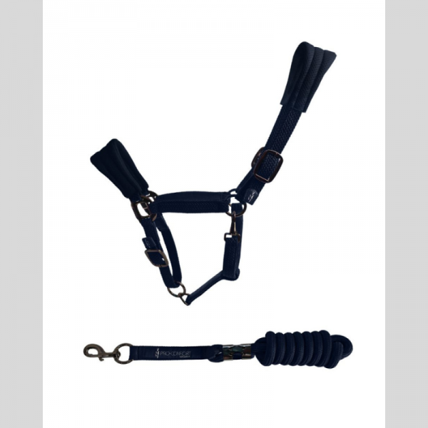Dorai Set Licol ergonomique en mesh et longe