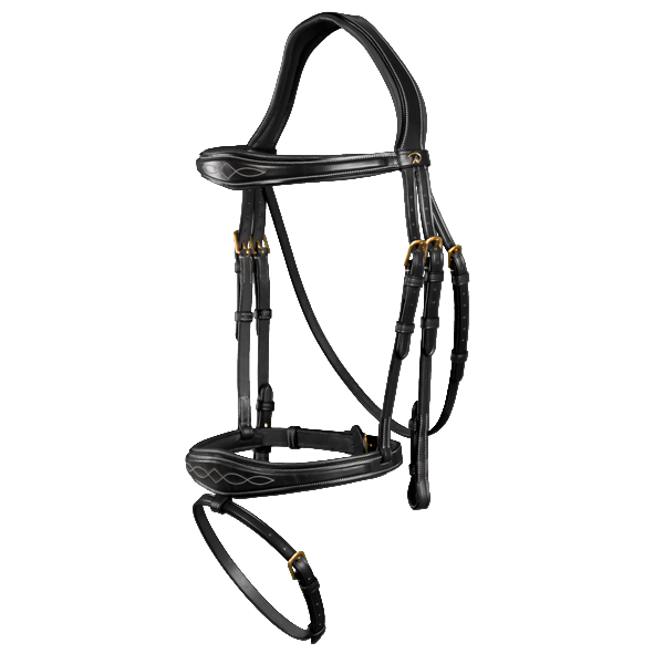 Dy'on Anatomic Flash Noseband Bridle D Collection