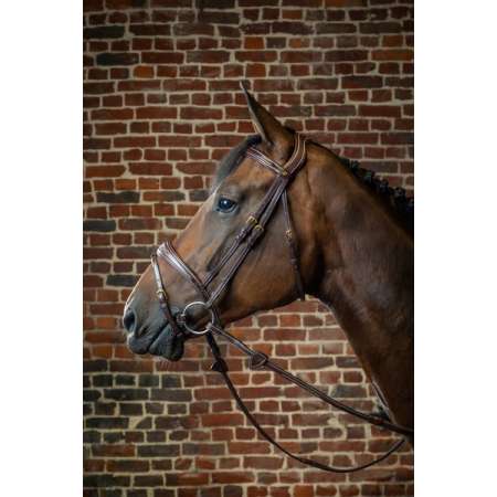 Dy'on Anatomic Flash Noseband Bridle D Collection