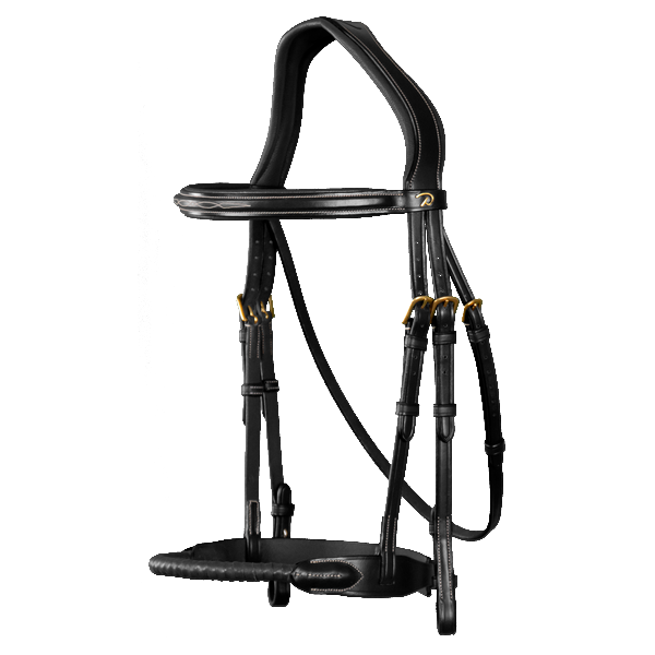 Dy'on Leather Covered Rope Noseband Bridle D Collection