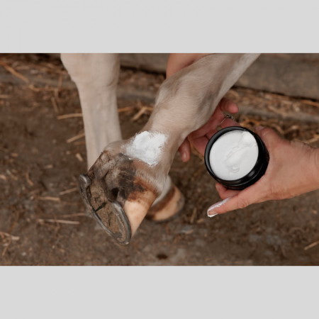 Mud Fever Cream Plus