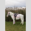 Tapis de Selle Tête de Licorne Pailleté