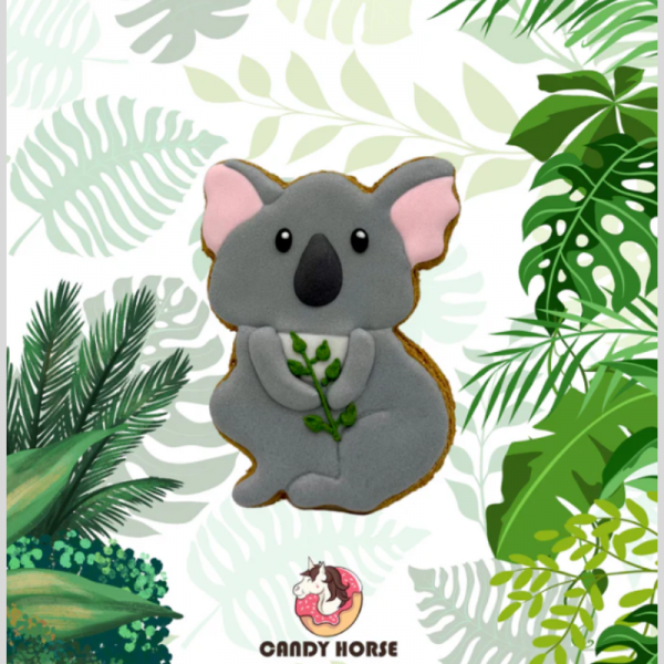 Cookie Jungle Koala