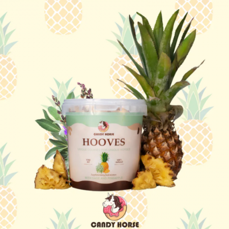 Friandises ananas-sauge