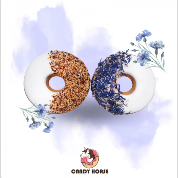 Donuts bleuet + cynorhodon
