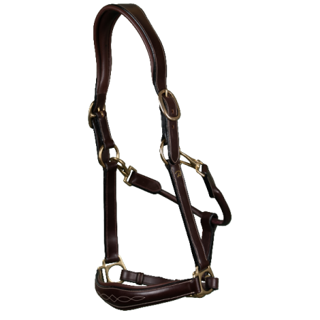 Dy'on Leather Halter 2-in-1