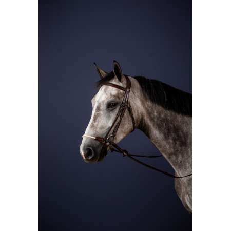 Dy'on New English Rope Drop Noseband Bridle