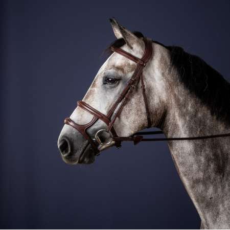 Dy'on New English Double Noseband Bridle