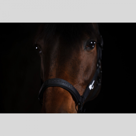 Headcollar Sparkle Dynamic 25