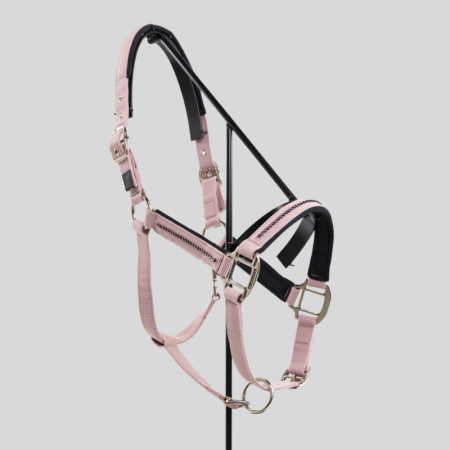 Amour Halter and Lead Rope