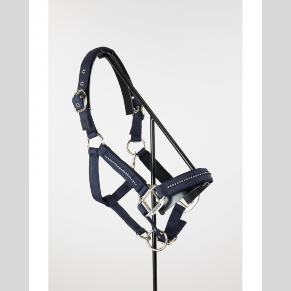 Amour Halter and Lead Rope