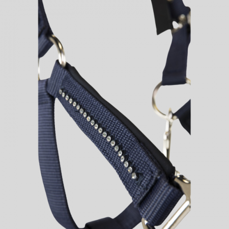 Amour Halter and Lead Rope