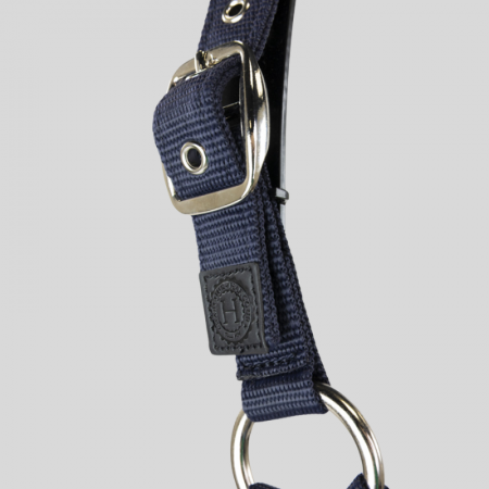 Amour Halter and Lead Rope