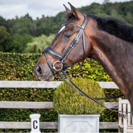 Dy'on Matte Large Crank Noseband Bridle With Flash