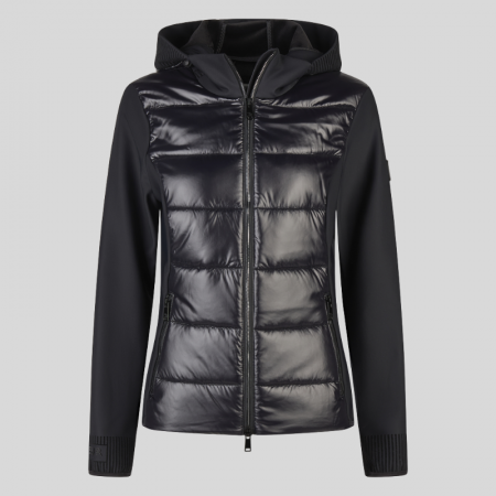 Hybrid Jas 8049 Selection