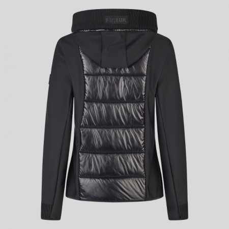 Hybrid Jas 8049 Selection