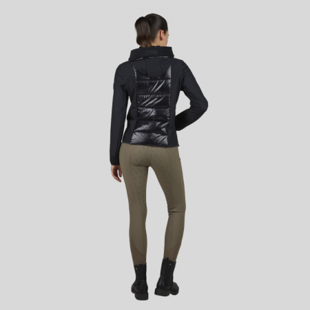 Hybrid Jas 8049 Selection