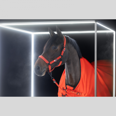 Licol Sparkle Dynamic 25