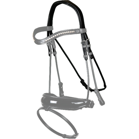 Dressage kopstuk