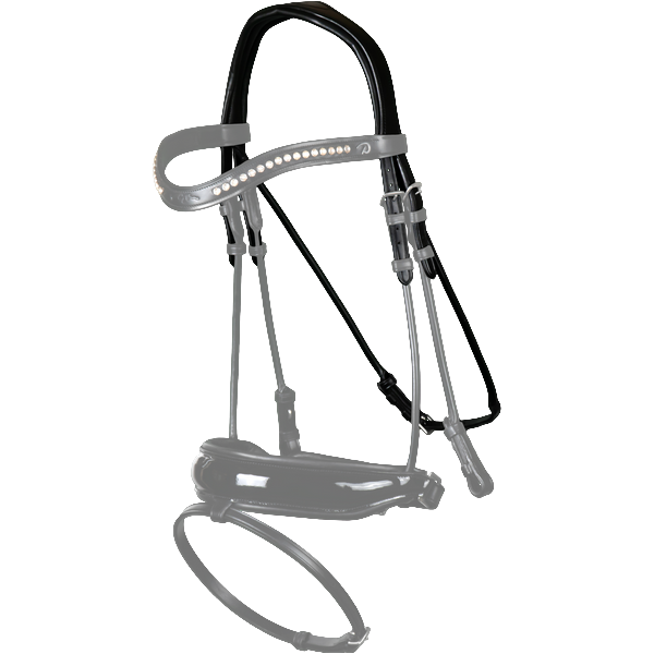 Dressage kopstuk