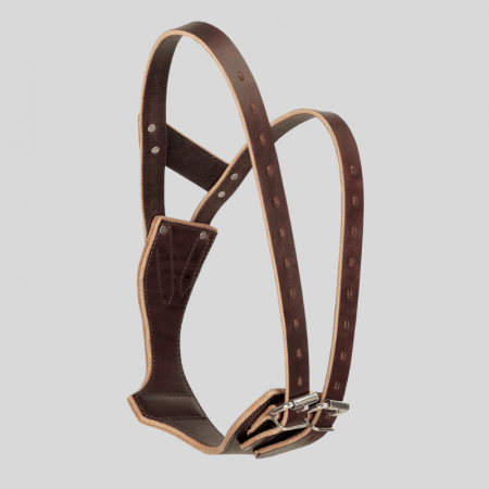 Collier anti tique à l'air Miracle Collar®