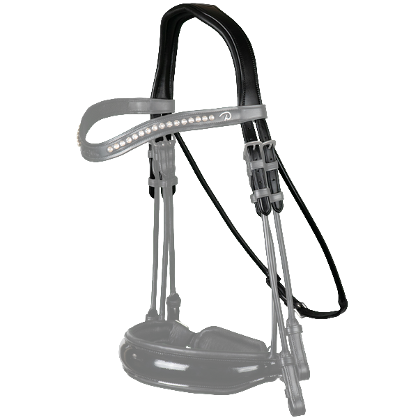 Dressage Stang & Trens kopstuk