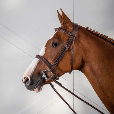 Cavesson Hunter Noseband Bridle