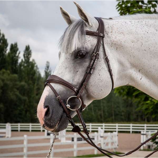 Dy'on Hunter Anatomic Flash Noseband Bridle